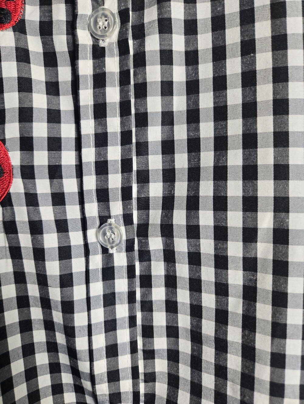 Black & White Gingham Button-Down Shirt with Ladybug Embroidery Size Large - Picture 4 of 16